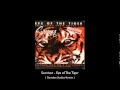 Survivor - Eye of The Tiger ( Metal Cover ) 