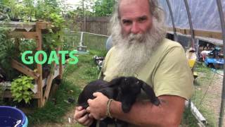 David Young The Urban Farmer by Rob Greenfield