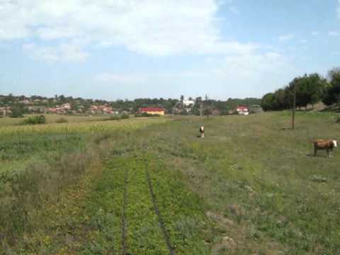 cu mocanita spre Sanmartinu de Campie - scoala si biserica - MVI_0412.avi
