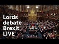 The House of Lords debates Brexit