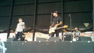 Street Dogs Drinking Song Live