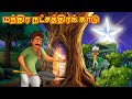 மந்திர நட்சத்திரக் காடு New Tamil Stories தமிழ் 