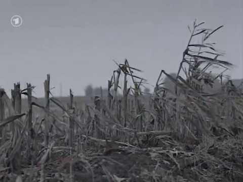 Der Erste Weltkrieg - 2/5 - Gashölle Ypern