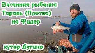 Ловля плотвы ранней весной в ростове