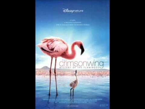 download lagu mp3 mp4 Soda Cinematic Orchestra, download lagu Soda Cinematic Orchestra gratis, unduh video klip Soda Cinematic Orchestra