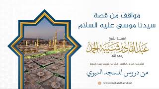 صورة مواقف من قصة سيدنا موسى عليه السلام | الشيخ عبدالقادر شيبة الحمد رحمه الله (99)