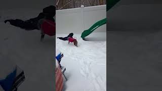 Video preview image #1 Mutt Puppy For Sale in Mount Laurel, NJ, USA