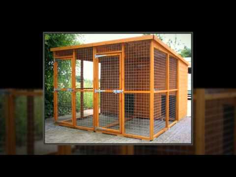 download lagu mp3 mp4 Dog Houses Ireland, download lagu Dog Houses Ireland gratis, unduh video klip Dog Houses Ireland