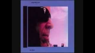 Martin Rev - Painted