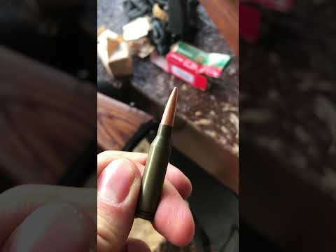 5.45x39 is pointy #shorts #545x39 #kalash #ak #akammo #akplatform