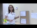 Preschool Parkland FL Thematic Themes