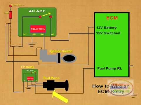 image-What is the function of the ECM power relay? 