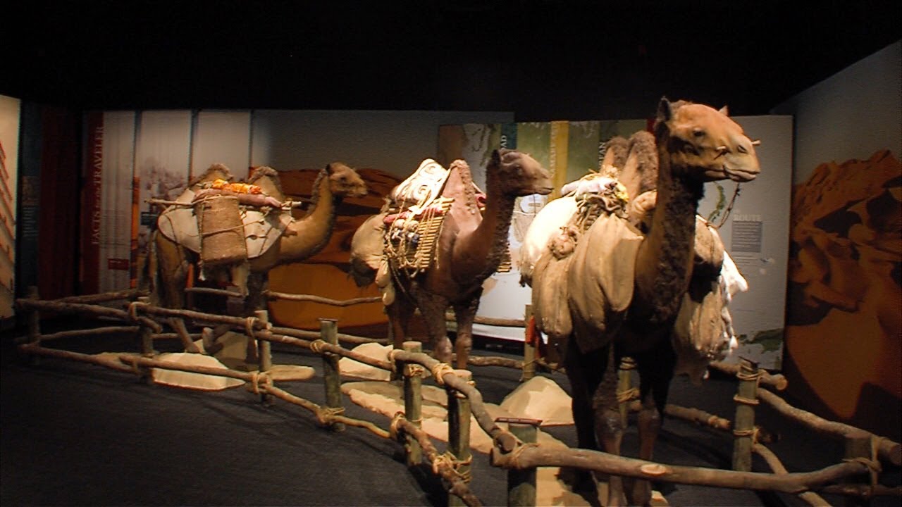 Local Business Spotlight 03/18/2018