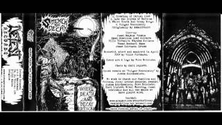 Stench of Decay -  Into the Depths of Madness