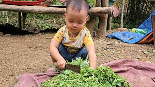 Harvesting snails goes to the market sell - Taking care of the vegetable garden | Hà Tòn Chài