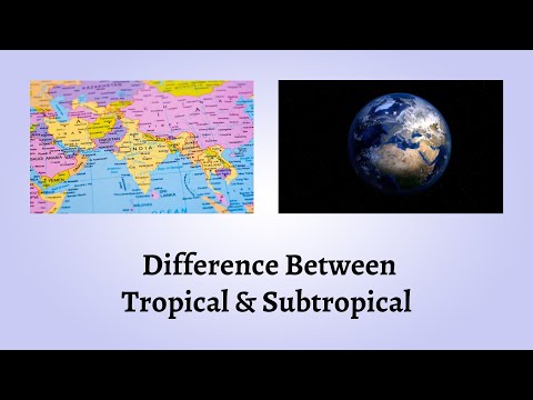 Difference Between Tropical and Subtropical | Tropical vs. Subtropical: What Sets Them Apart?