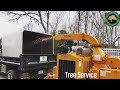 Chippin It Up Cape Cod Tree Services