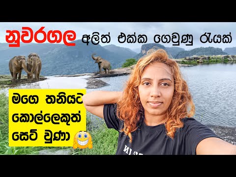 මගෙ තනියට කොල්ලෙකුත් සෙට් වුණා 😘 | Nuwaragala Hike – A Thrilling Adventure with Elephants! 🐘🔥