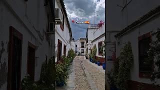 Marvelous Streets of Córdoba 😍💃🪴 The heart of Andalucía, Spain 🇪🇦 #europe #street #travel