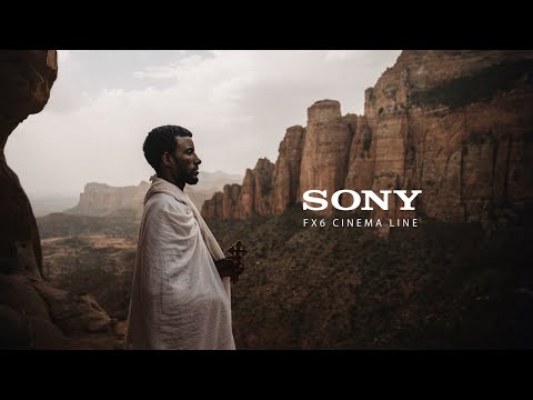 Fx60 Sony