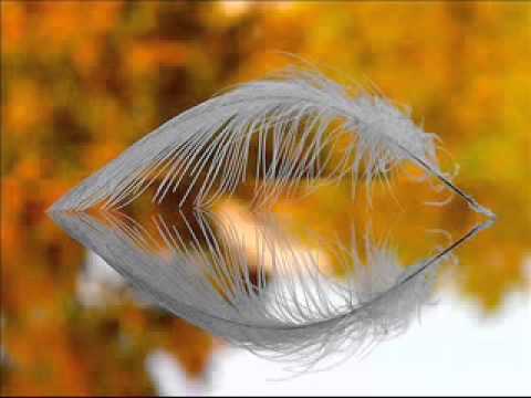 Tim Wheater - Fall (A Calmer Panorama)