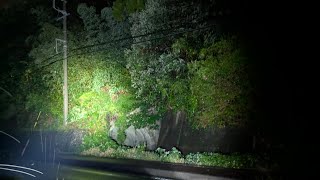 【ゲリラLIVE】心霊生配信リアル肝試し『作業員の霊が出ると噂の牛渕隧道』in静岡県菊川