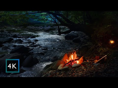 4K Midnight campfire by the river — Owls, cracking fire and river | Relaxing nature sounds