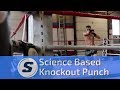 How To Throw A KNOCKOUT Punch! (Backed By Science) Feat. A Muay Thai Champion