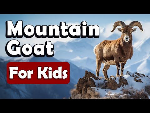Mountain Goats for Kids | Learn About Animals for Kids