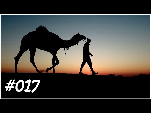 RIDING A CAMEL INTO THE DESERT! #017
