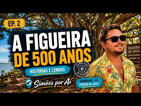 Arambaré e a Figueira de 500 Anos: histórias, lendas e memórias