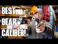 Best Bear Caliber When Hiking Backpacking And In The Wilderness