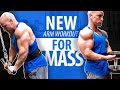 NEW Arm Workout for MASS - Fall 2019