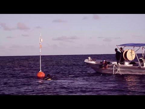 Gombessa IV Genesis - Episode 13