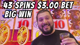 43 Spins On Buffalo Gold Slot Machine BIG WIN #2023 #4k