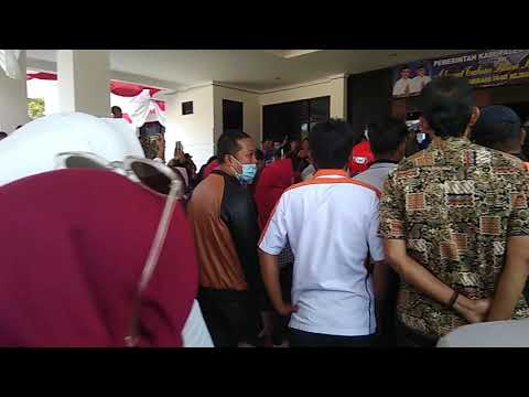 Penyambutan janwar di kantor bupati sinjai