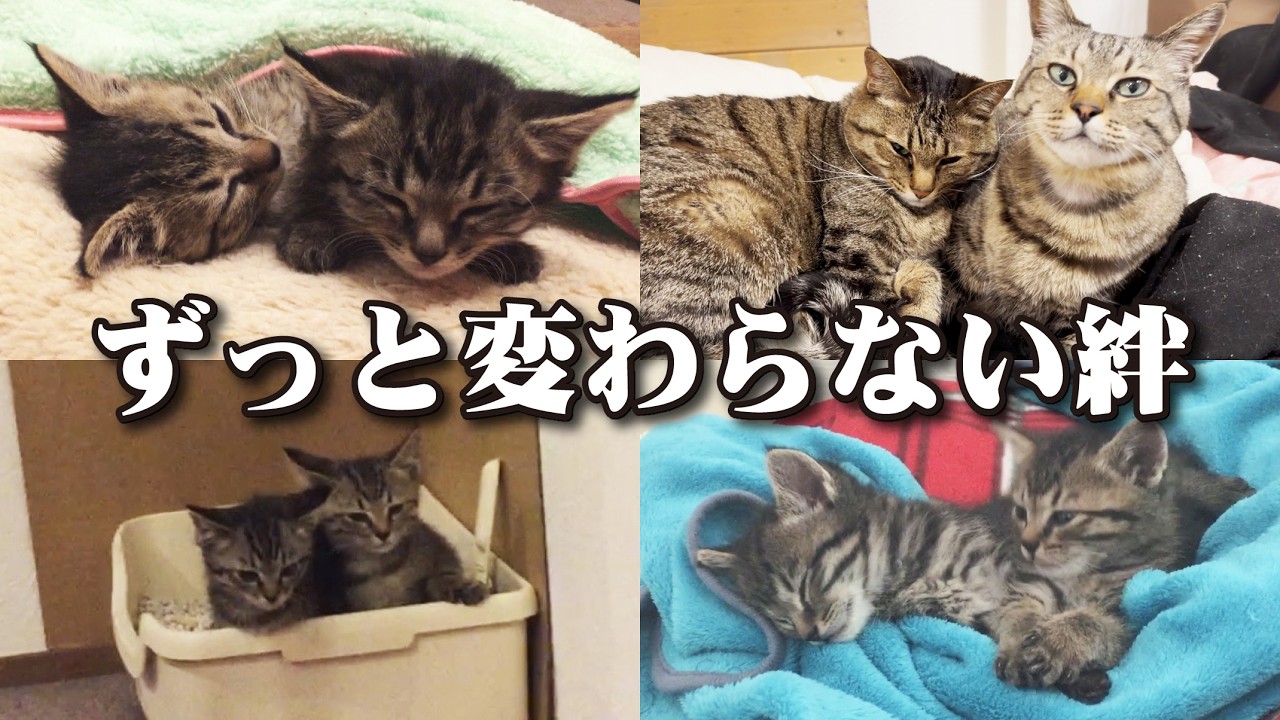 10年間ずっと変わらない絆