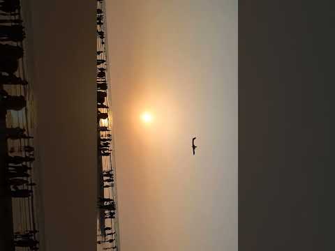 Beauty of Cox's bazar sea beach