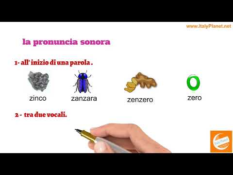 كلمات تبدا بحرف Z