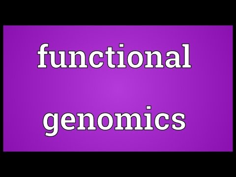 Functional genomics Meaning