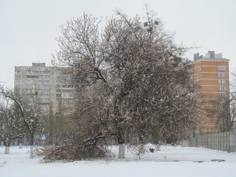 Последствия снежной бури 19 04 2017 Харьков
