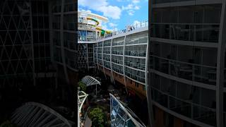 Central Park View Balcony Stateroom.  #cruise #cruiseship #travel #shortvideo  #symphonyoftheseas
