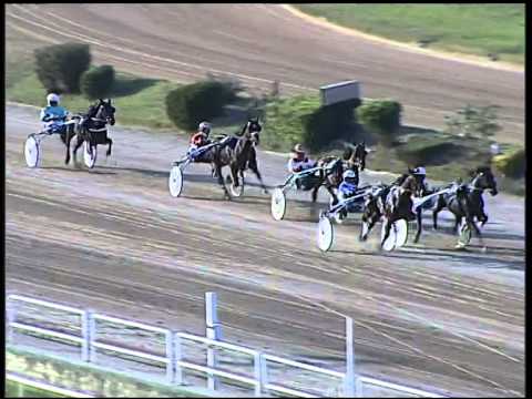 Trotto 30/10/2014 - 2° prova di qualifica