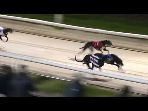 2017 WILLIAM HILL NOTRTHERN ALL ENGLAND CUP - HEAT 4 - T6 MURRYS ACT