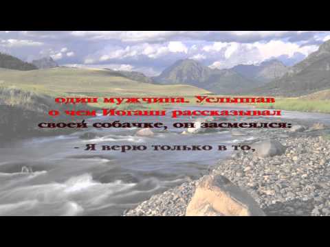 Вечерние рассказы для детей. История 072
