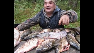 Рыбалка озеро изюк омская область