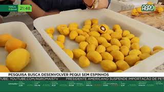 Miniatura do vídeo