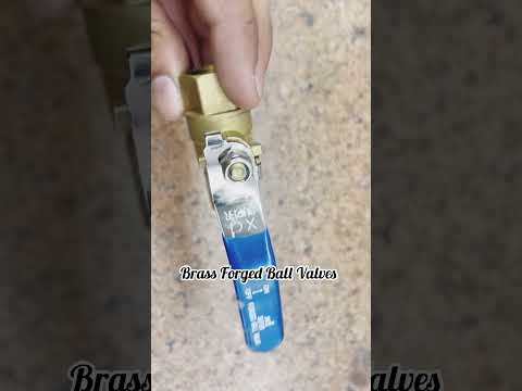 Dairy Valve