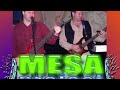 MESA Project - Synchronicity Revisited