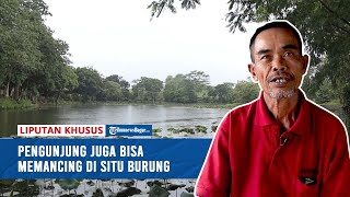 Bersantai di Situ Burung yang Kental dengan Suasana Pedesaan, Pengunjung Bisa Memancing